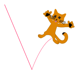Dead Cat Bounce